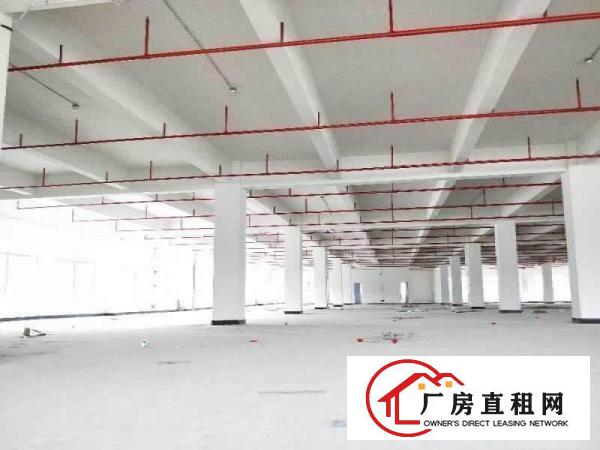 
		常平外观形象超靓标准独院21800平米电梯3吨
	