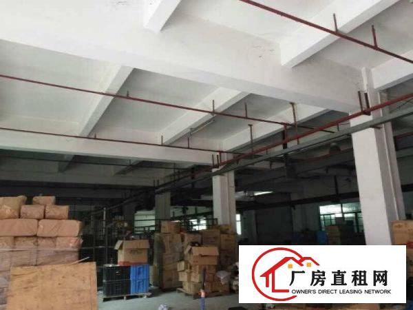
		大朗华南汽配城附近总面积4680平方共3层一楼
	