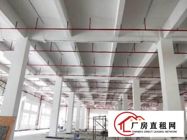 
		虎门高速路口附近广深高速出口标准厂房一楼7500平
	