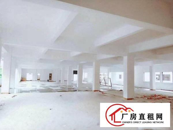 
		万江大道中心办公/厂房600平带装修，即租即用
	