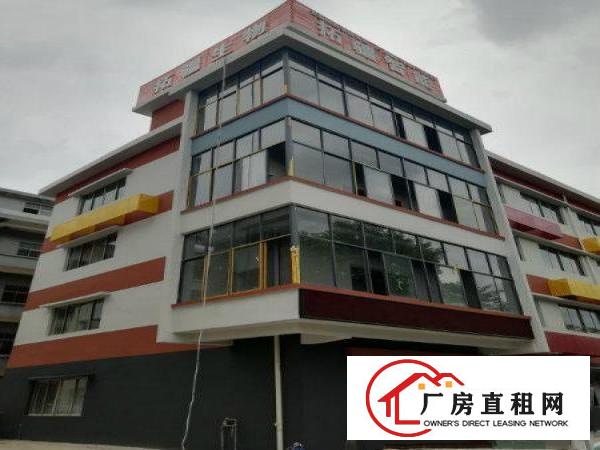 
		万江环境优美科技园新出二楼带精装修办公1000平
	