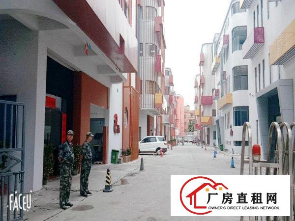 
		万江环境优美科技园新出二楼带精装修办公1000平
	