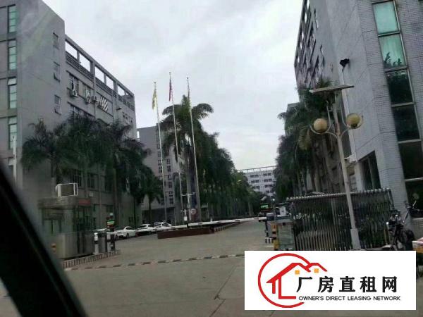 
		大岭山镇莞长路新出原房东形象好空地大独院可厂房出租
	