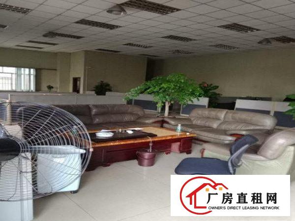 
		金桔小独院1100平方，豪华前台办公室价低
	