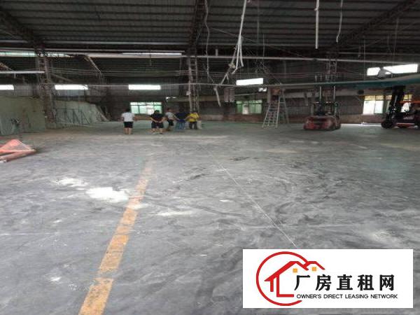 
		金桔小独院1100平方，豪华前台办公室价低
	