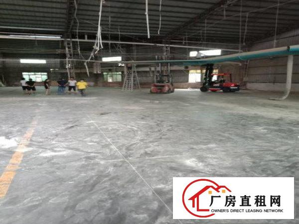 
		金桔小独院1100平方，豪华前台办公室价低
	