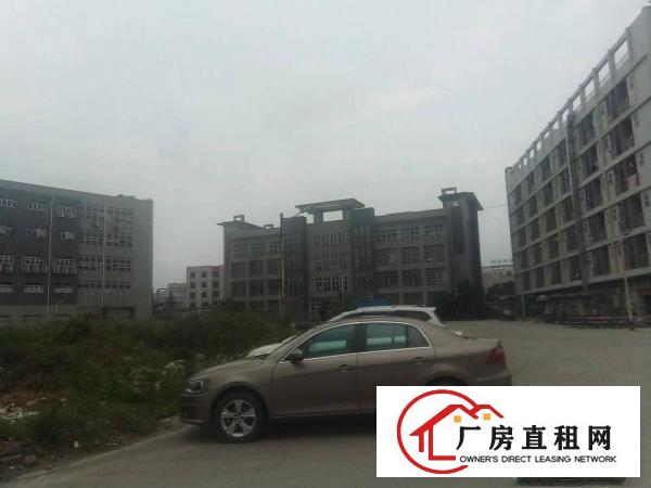 
		大岭山上档次的全新大型厂房出组
	