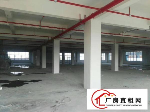 
		大岭山镇高速出口原房东可办环评空地大独院厂房出租
	