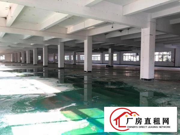 
		大岭山工业园紧靠莞长路新出楼上1730平方豪华装修
	