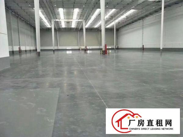 
		大岭山仓库20000平方米带卸货平台出租
	