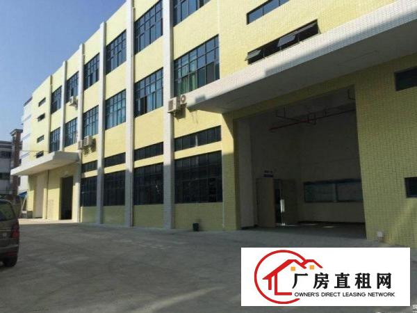 
		厚街大型成熟工业区带地平漆带有消防喷淋独栋招租
	