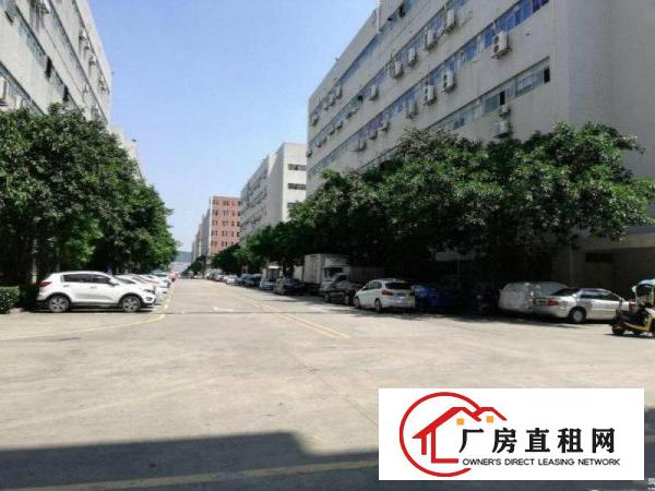 
		厚街大型成熟工业区带地平漆带有消防喷淋独栋招租
	