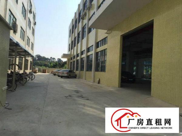 
		厚街大型成熟工业区带地平漆带有消防喷淋独栋招租
	