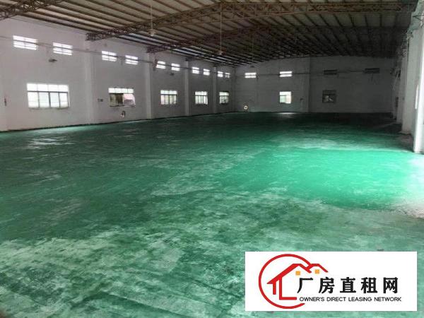 
		大岭山杨屋紧靠国道边新出独门独院2200平方精装修
	