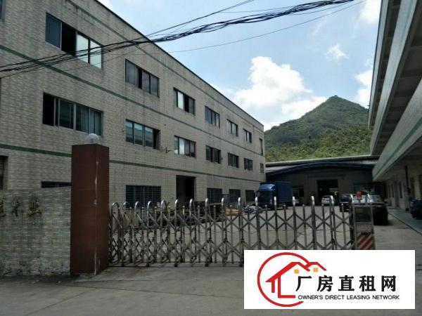 
		东莞实际面积一楼现成家具喷油厂房2800平方出租
	