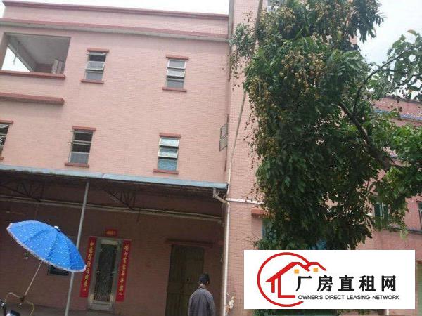 
		大岭山水朗原房东独院钢构2300平有宿舍办公室楼
	