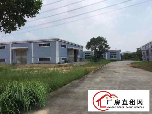 
		大岭山新房源滴水10米钢构空地能停飞机可分租
	