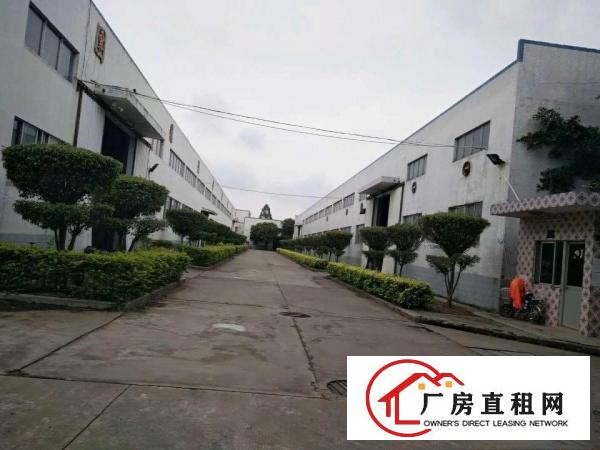 
		大岭山颜屋新出物流工厂12000平方钢构，8米高
	