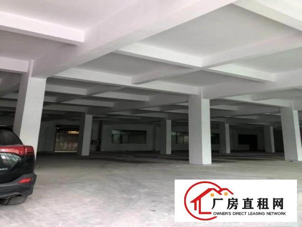 
		企石镇工业区新空出原房东一楼1300平方厂房出租，
	