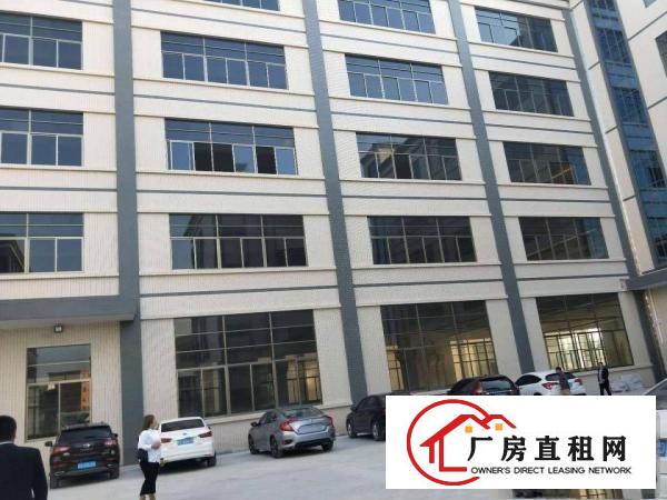
		企石镇标准厂房招租独门独院
	