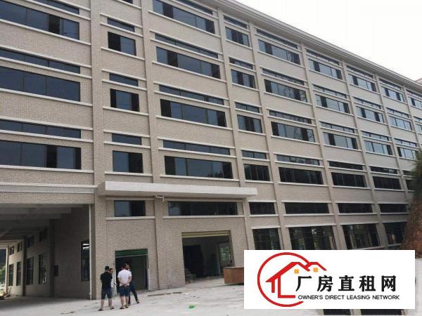 
		出租企石全新大型标准厂房45000平方
	
