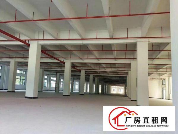 
		东莞企石全新厂房招租混凝土标准厂房42000平
	