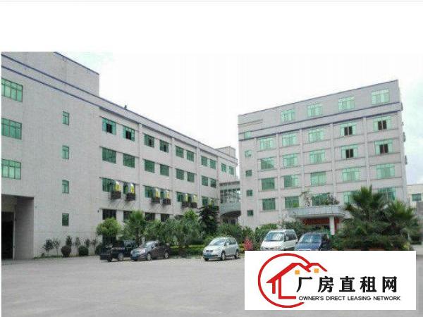 
		企石上洞标准厂房空出一楼750平出租
	