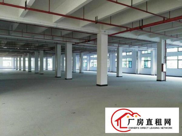 
		出租企石上洞全新厂房
	