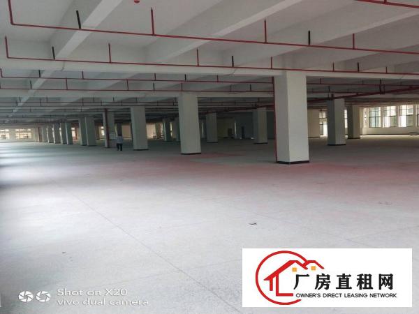 
		企石镇独门独院标准厂房出租
	