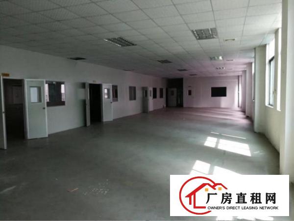 
		企石新出原房东标准3层小独院3500平方米
	