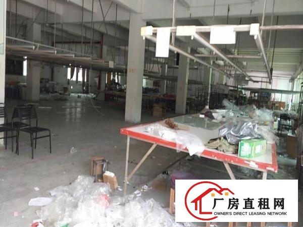 
		企石新出原房东标准3层小独院3500平方米
	
