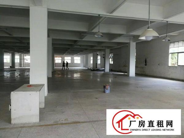 
		企石花园式正规标准厂房12000平大小可分租
	
