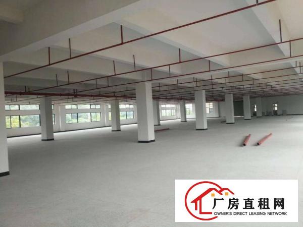 
		企石镇全新厂房出租独门独院
	