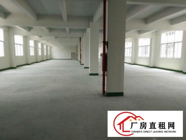 
		企石镇花园式独院厂房3000平米，可分租
	