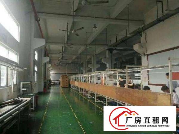 
		企石独门独院砖墙到顶单一层1500平方厂房出租
	