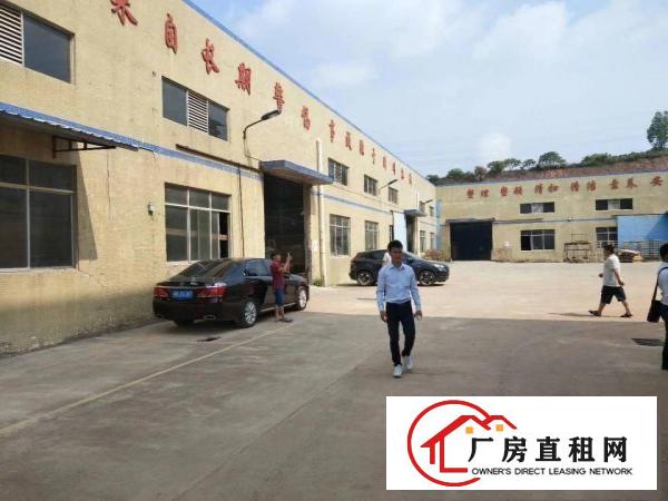 
		企石原房东形象漂亮钢构厂房出租4500平方米形象好
	