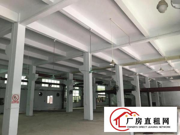
		企石镇新出经典独门独院标准二层厂房
	