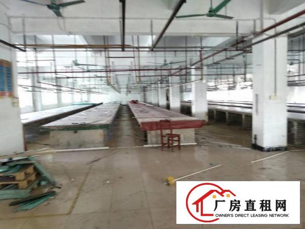
		园洲大道旁新出独院9250带装修，空地1500
	