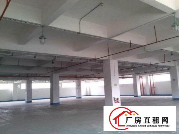 
		东莞企石独院标准三层电梯厂房3300平方出租九成新
	