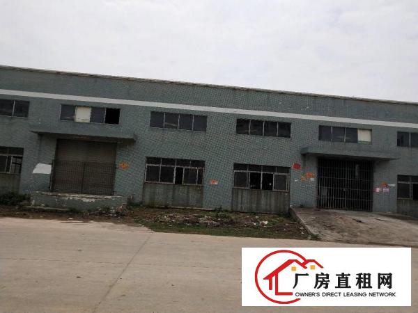 
		企石镇自建厂房5005000平方厂房出租
	