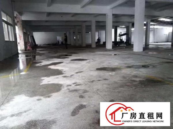 
		茶山镇卢边村经典独院两层厂房2300平方出租
	