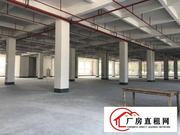 
		茶山镇超靓全新独门独院标准厂房4500出租
	