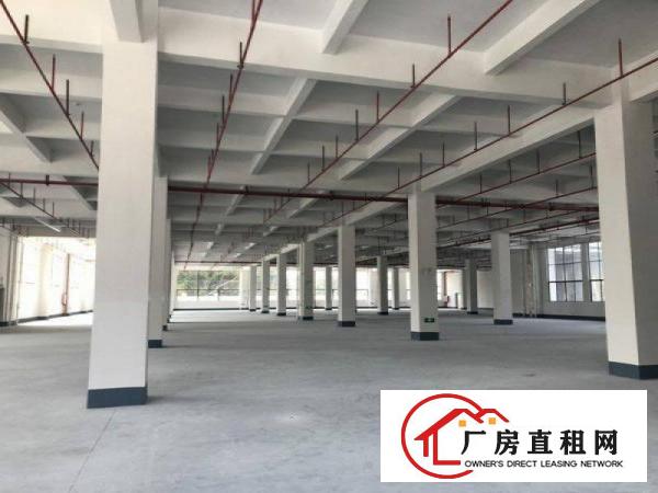 
		茶山镇超靓全新独门独院标准厂房4500出租
	