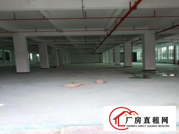 
		原房东独门独院厂房3500方，马上搬空，形象极好
	