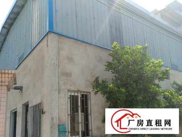 
		出租茶山增埗原房东350平方铁皮仓库6米高
	