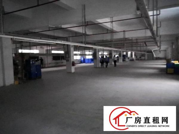 
		原房东独院标准厂房4000平方米出租
	