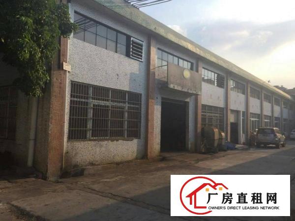 
		石排/企石镇大量单层钢构厂房500/9000方急租
	