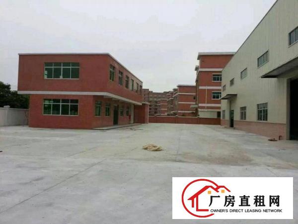 
		石排/企石镇大量单层钢构厂房500/9000方急租
	