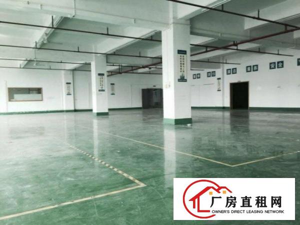 
		石排新出超靓标准独门独院5000平方厂房出租
	