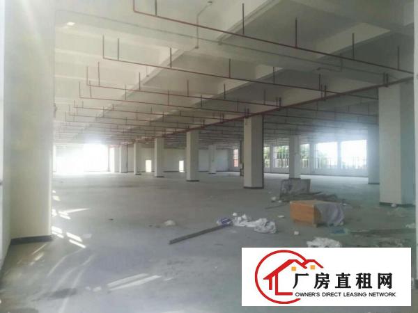 
		石排原房东独门独院3500平方厂房出租带消防喷淋
	